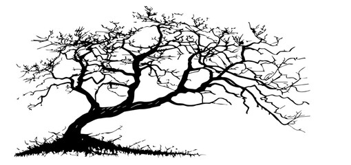 Fototapeta premium detailed silhouette of a barren tree with twisted branches – black vector