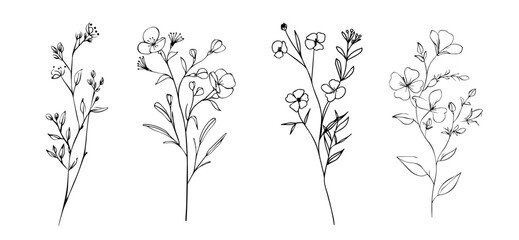 collection of botanical illustrations in monochrome style