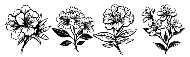 hand-drawn floral designs with elegant petals and leaves
