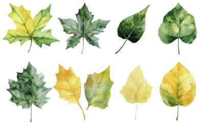 generation AI,Watercolor painted Green leaf leave  icon set