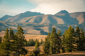 Mountain panorama of beautiful valley in Altai mountains. Altai Mountain range, North Altai, Gorny...