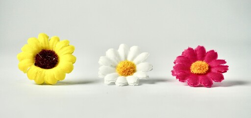 Decorative colorful three small flowers display object isolated on horizontal white background.