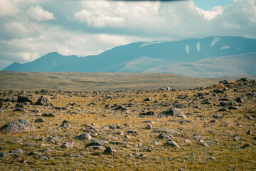 Mountain panorama of beautiful valley in Altai mountains. Altai Mountain range, North Altai, Gorny...