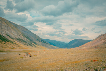 Mountain panorama of beautiful valley in Altai mountains. Altai Mountain range, North Altai, Gorny...
