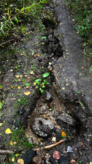 Soil erosion on a mountain path after heavy rains in Autumn.
