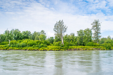 Beautiful summer day at the river, stunning Alaska landscape with large river, green forest and blue skies with white clouds