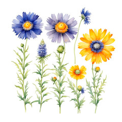 Naklejka premium bouquet of daisies