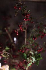 Obraz premium Winter figurine decor with cozy holiday theme, featuring festive snowmen and pine accents