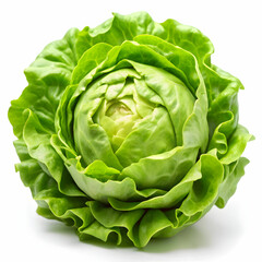 Obraz premium Fresh iceberg lettuce