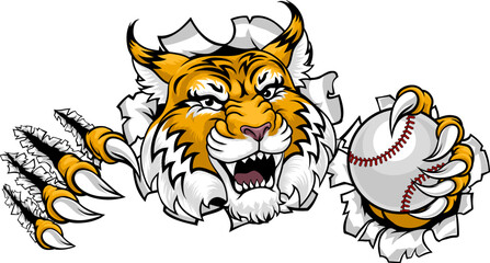A wildcat or bobcat animal baseball sports team cartoon mascot