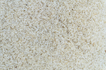 Close-up shot of uncooked white rice grains.