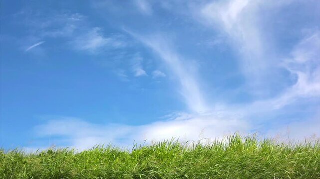 青空と草原