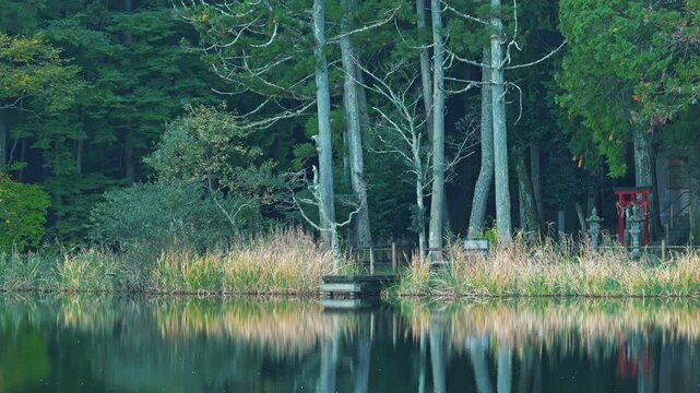Lake in the forest, scenery reflected on the surface of the water