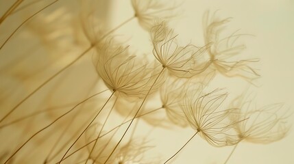 Obraz premium A soft, ethereal image of delicate plant forms, showcasing intricate details and a warm, dreamy color palette.
