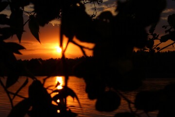 Naklejka premium Orange sunset over the lake, beautiful abstract nature background, landscape, bright sky, spring warm evening, bright colors of spring, water, reflection, sun rays, fiery sunset, inspiration, horizon
