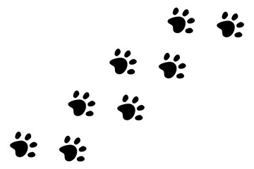 Paw print, dog or cat walk foot trace border. Pet footsteps trail. Simple silhouette step line. Cute marks on white background.