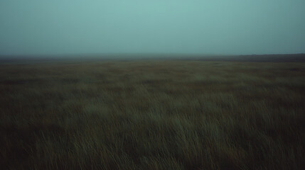 A vast, open field at twilight with long grasses swaying gently and illuminated by the last traces of daylight, surrounded by a thin veil of fog.