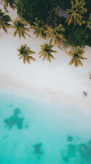 A relaxing beach wallpaper with soft white sand, clear turquoise water, and palm trees swaying in the breeze, bathed in warm golden light.