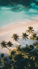 A relaxing beach wallpaper with soft white sand, clear turquoise water, and palm trees swaying in the breeze, bathed in warm golden light.