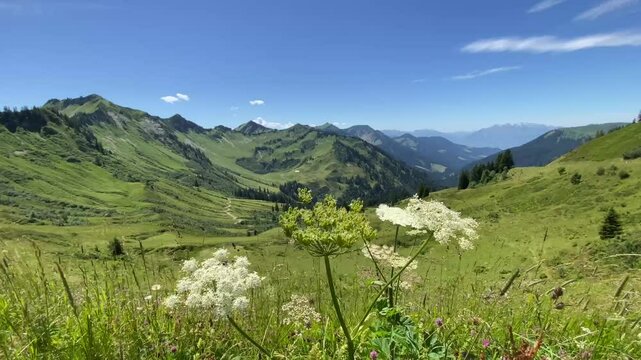 Berglandschaft