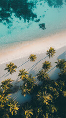 A relaxing beach wallpaper with soft white sand, clear turquoise water, and palm trees swaying in the breeze, bathed in warm golden light.