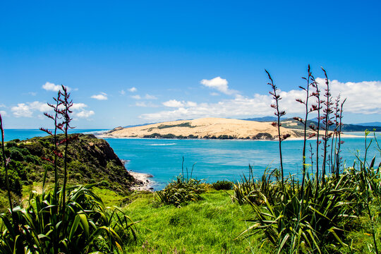 Blue ocean and sand dunes, New Zealand