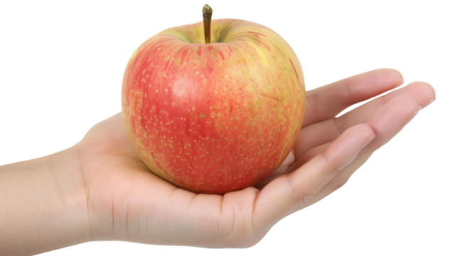 Hand holding delicius red apple on white transparent background
