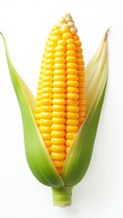 Obraz premium A yellow corn stalk with a green leaf at the top