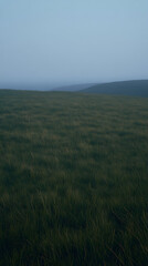 A vast, open field at twilight with long grasses swaying gently and illuminated by the last traces of daylight, surrounded by a thin veil of fog.
