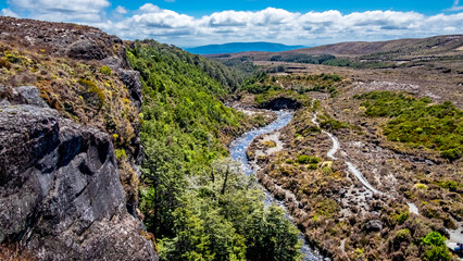 Taranaki Falls track in Tongariro National Park, alpine bushes on the river bank