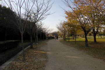 낙엽떨어진 길