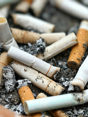 A close-up of numerous cigarette butts, highlighting the health hazards to smokers