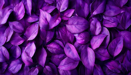 Fototapeta premium Flat lay Leaves background painted to purple color .