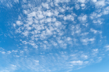 秋空に浮かぶ雲