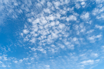 青空に浮かぶ秋の雲
