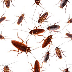 Cockroach Swarm Seamless Pattern isolate background