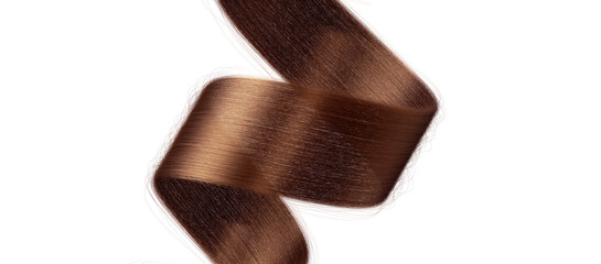 3d rendering. Silky healthy brunette curly hair strand isolated on white background. Close-up of brown hairpiece, hairy spiral ribbon, chignon hair extension clip art