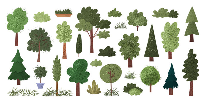 Set of different hand drawn trees, bushes and grass with textures. Isolated plants, fir tree, oak tree, maple, poplar, grass on white background. Nature icons for ecological designs. Vector clip art. 