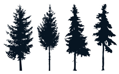 Silhouettes of trees on a white background. Coniferous trees in the form of silhouettes on a white background