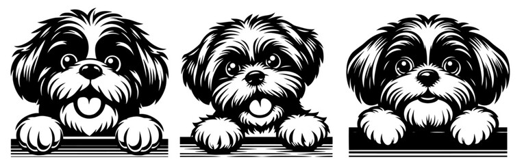 puppy pet dog animal vector illustration cute