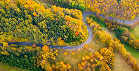 A winding road meanders through a colorful landscape adorned with vibrant autumn foliage, showcasing shades of yellow, orange, and red as leaves transition with the season.