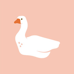 Goose, duck, swan swimming. Isolated flat hand drawn illustration print on plain background
