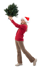 Merry Christmas time, Happy smiling woman holding tree top in hand to make and decorate Christmas...