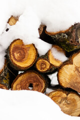 Background from the ends of cut trees sprinkled with snow
