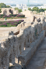 Thermes of Antoninus Pius at Carthage. Ruins of Antoninus Pius thermal Baths at Carthage, Tunisia -...