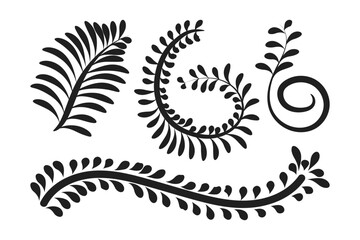 Vector hand drawn fern doodle set on transparent background