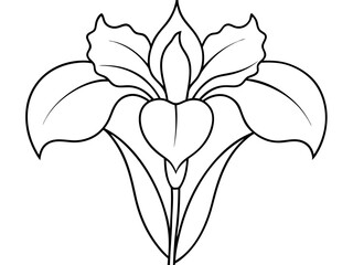 Minimalist line art illustration of iris flower outline, black and white floral vector, white background