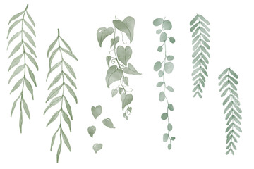 Set of Watercolor Hanging Plants Background. Set collection of green tropical creeper leaves hanging vine ivy houseplant bush hand drawn watercolor design resources elements