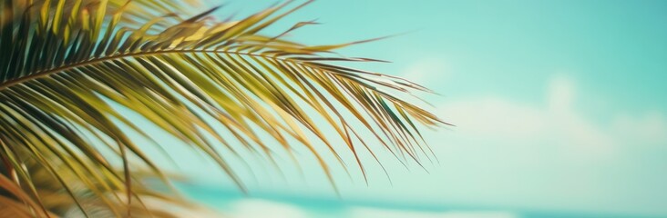Fototapeta premium Tropical Beach with Palm Trees and Blue Sky