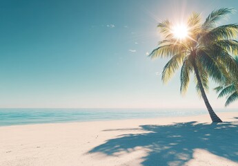 Fototapeta premium Serene Tropical Beach Under a Bright Sunlight